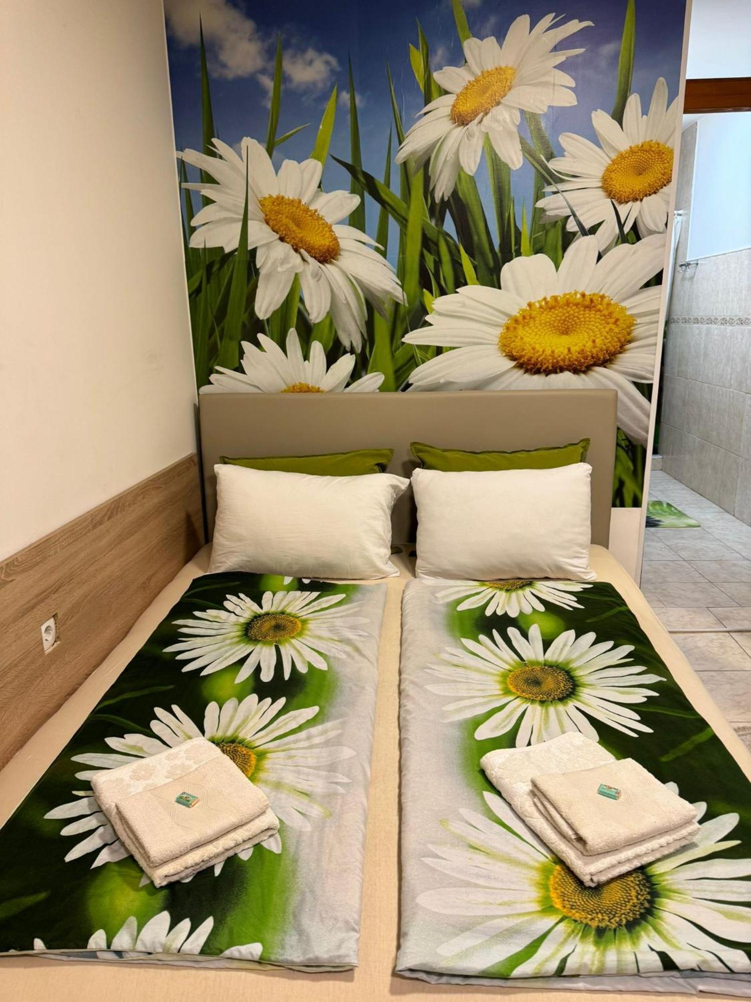 Nela Apartmani Ni Extérieur photo