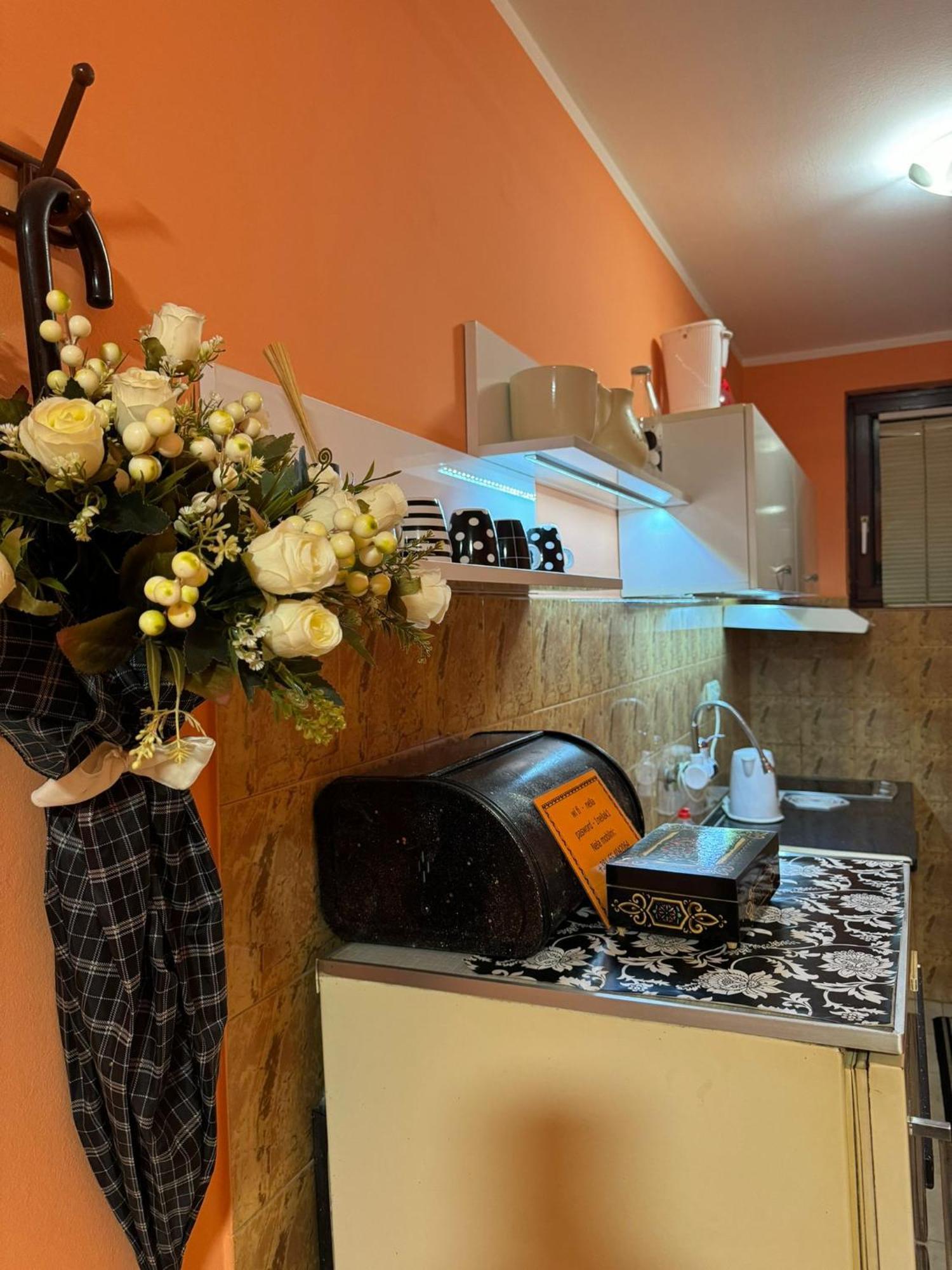 Nela Apartmani Ni Extérieur photo