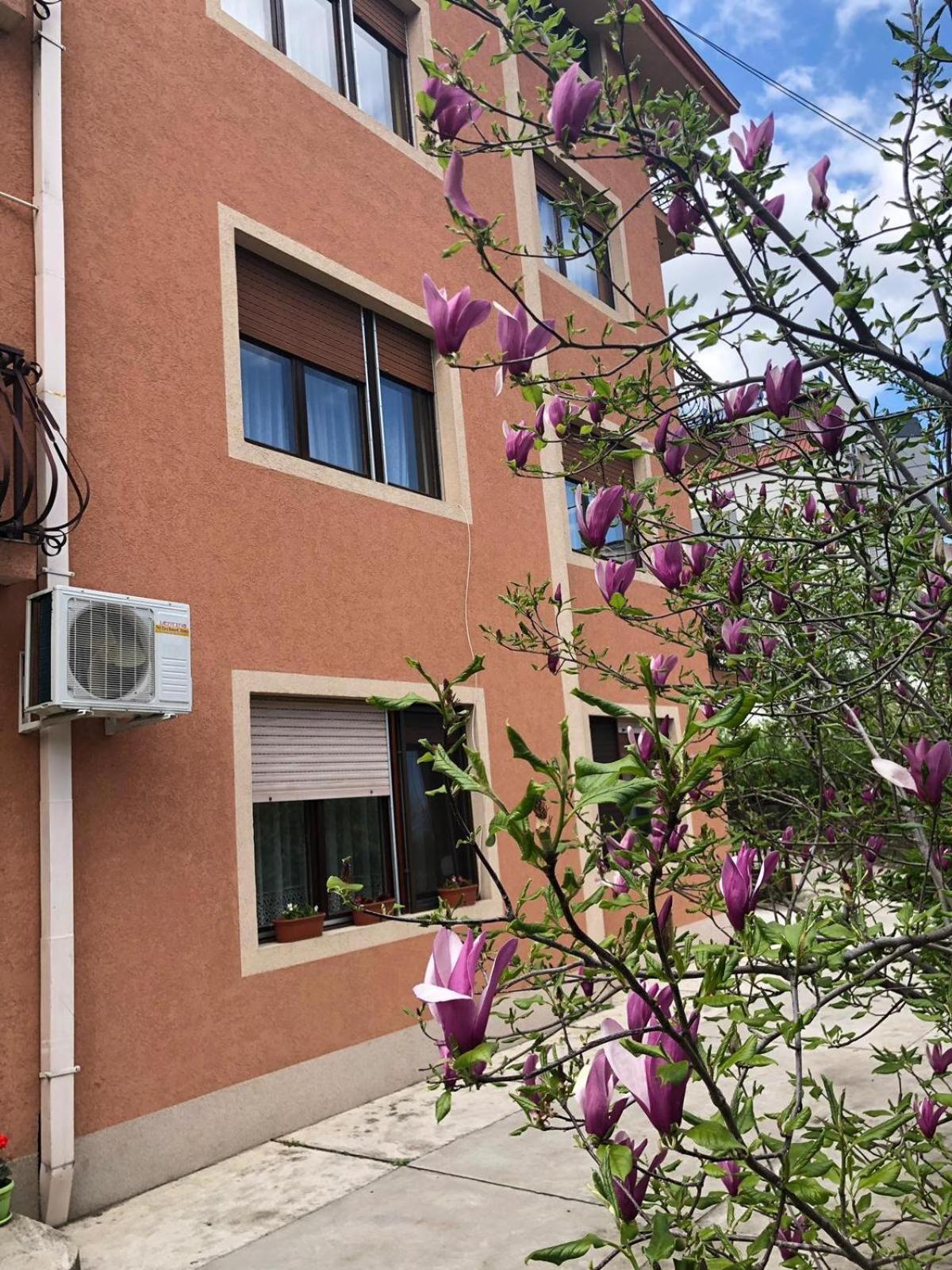 Nela Apartmani Ni Extérieur photo